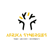 Afrika Synergies